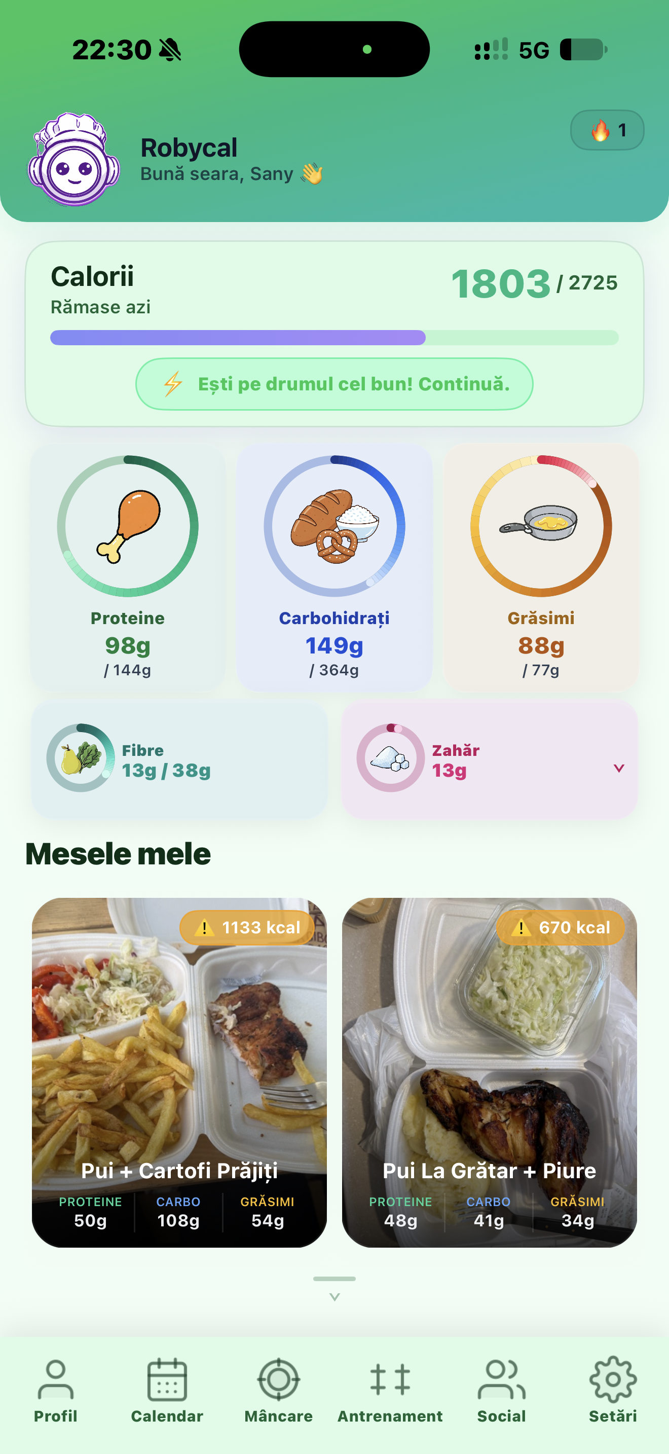 Robycal mint themed dashboard showing daily nutrition and meal photos
