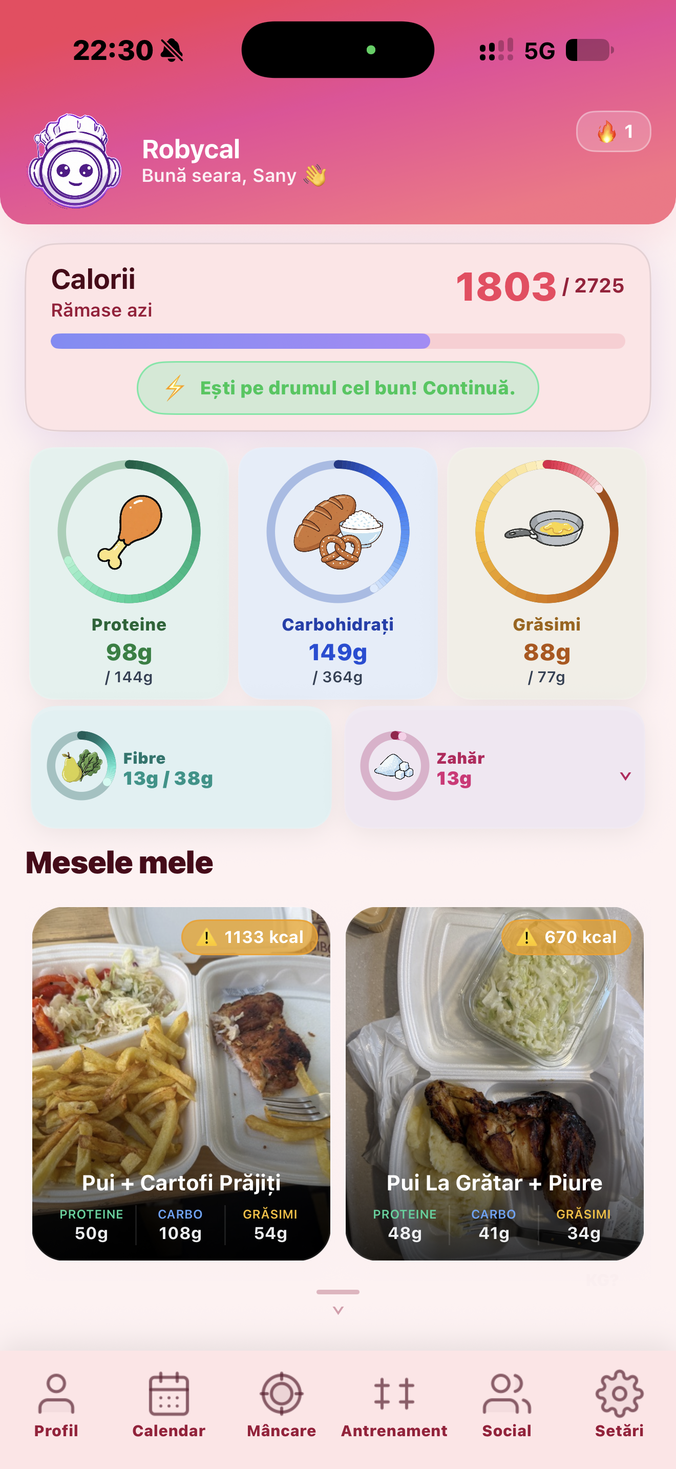 Robycal rose themed dashboard showing meals and daily nutrient totals